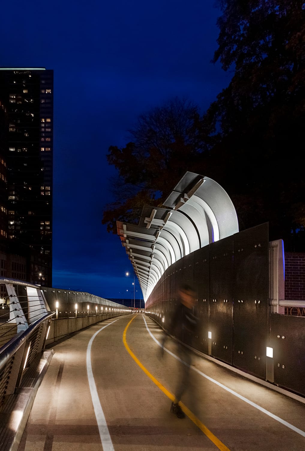 Navy Pier Flyover, image 2