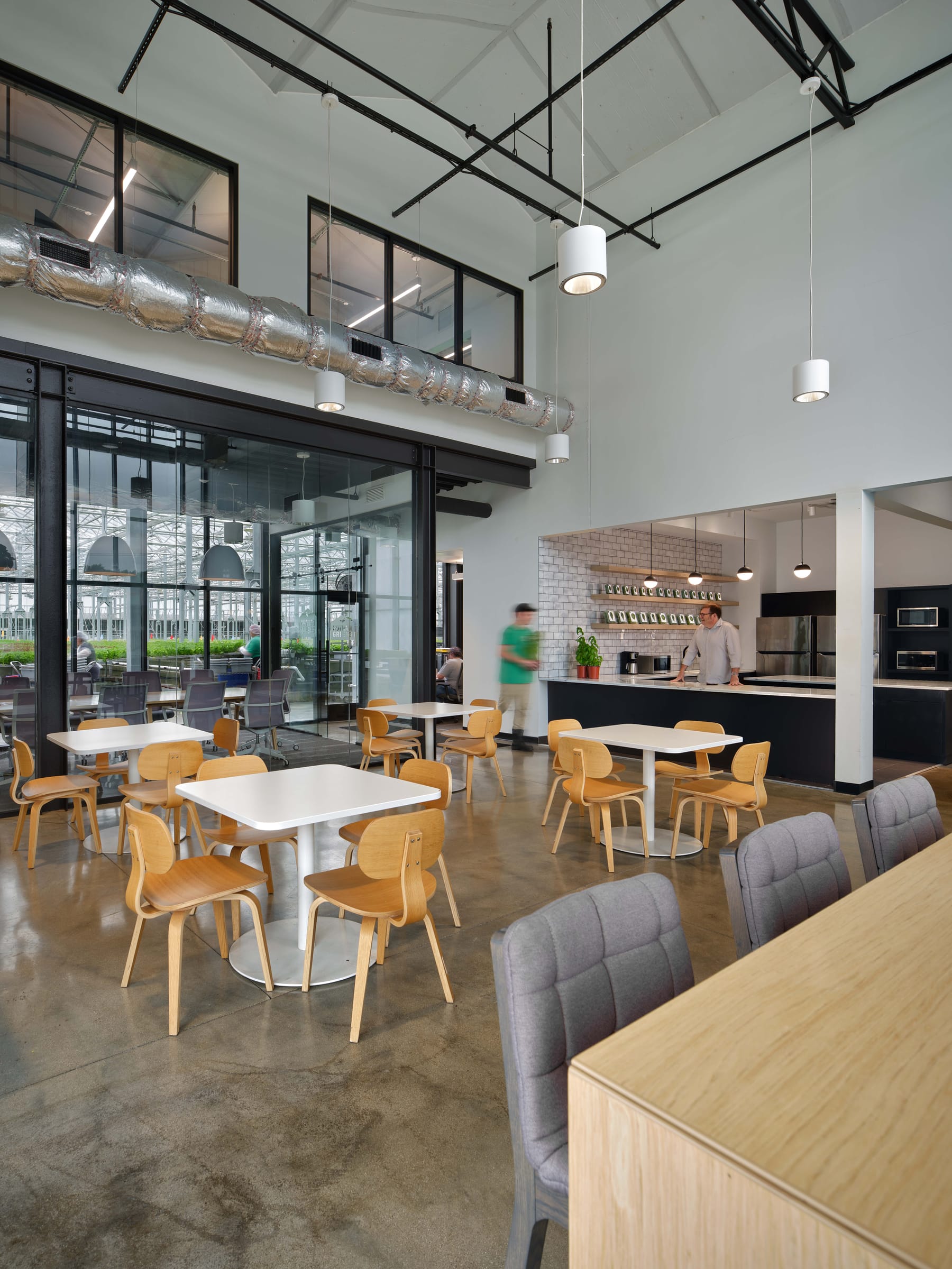 Gotham Greens at Pullman Park, image 8