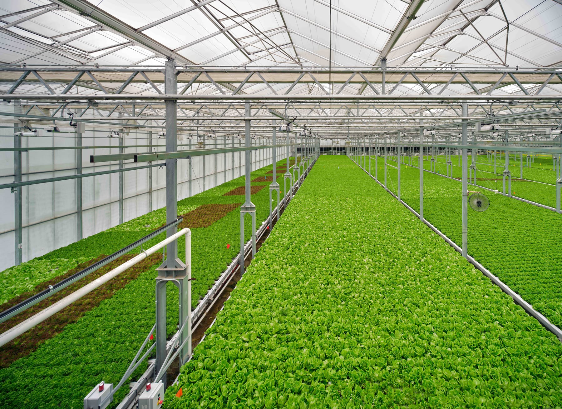 Gotham Greens at Pullman Park, image 9