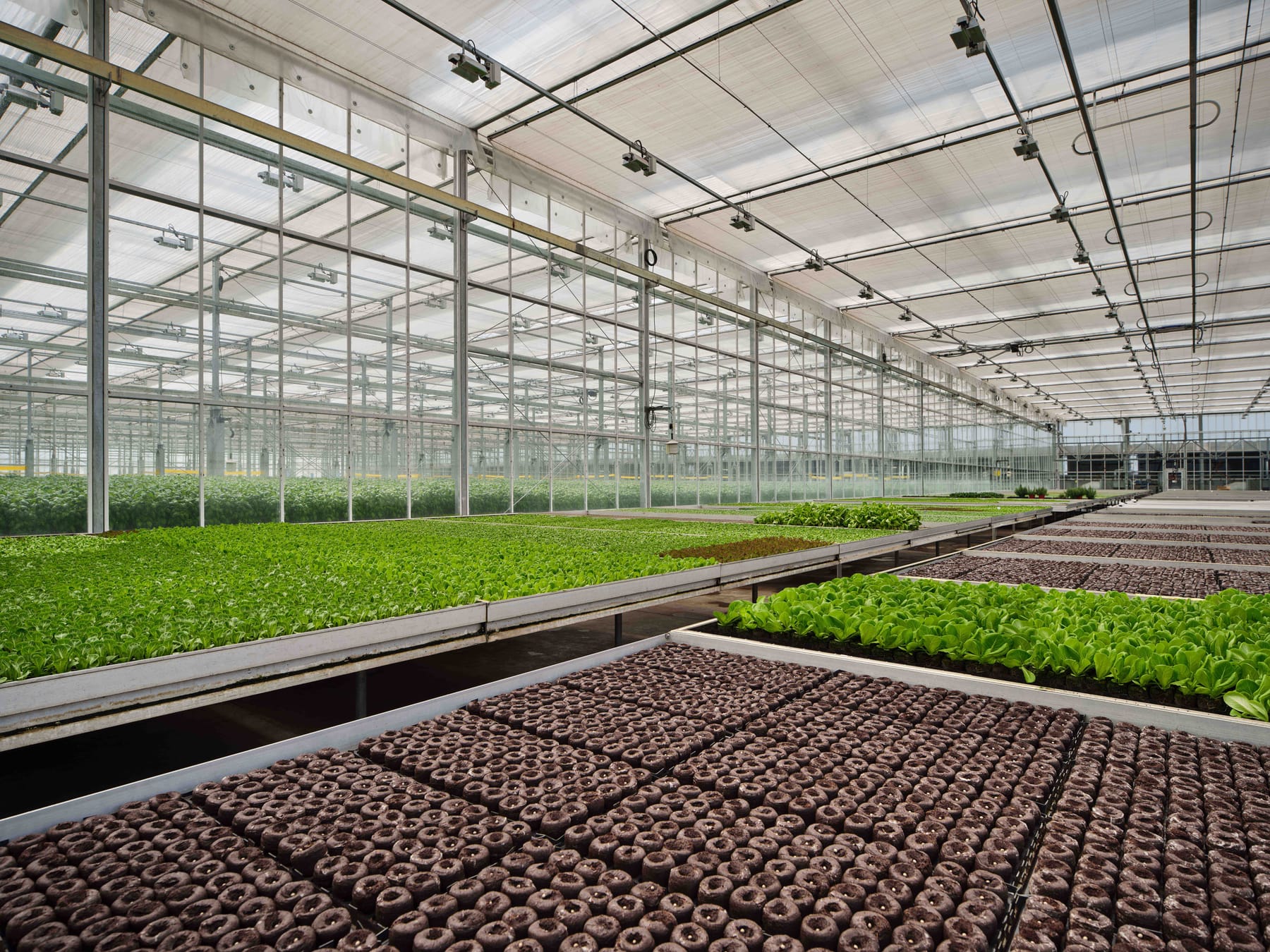Gotham Greens at Pullman Park, image 10