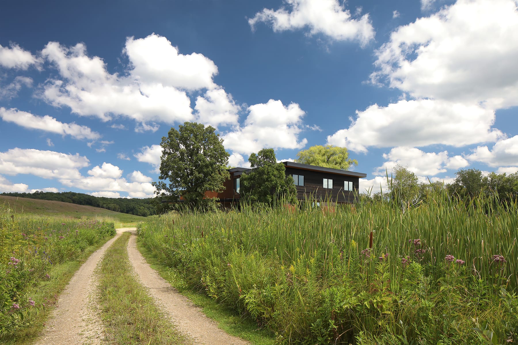 Prairie Remnant House, image 9