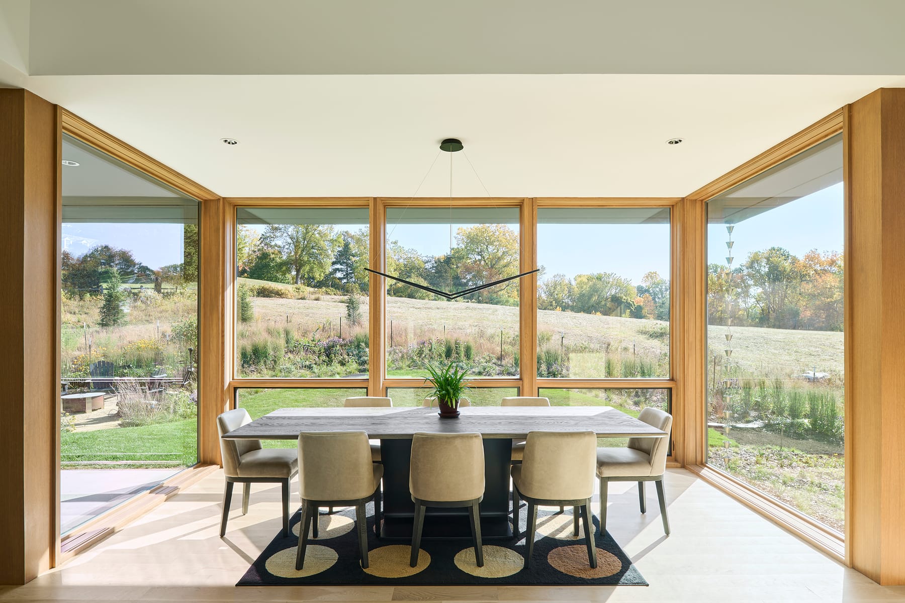 Sunfish Lake Contemporary, image 9