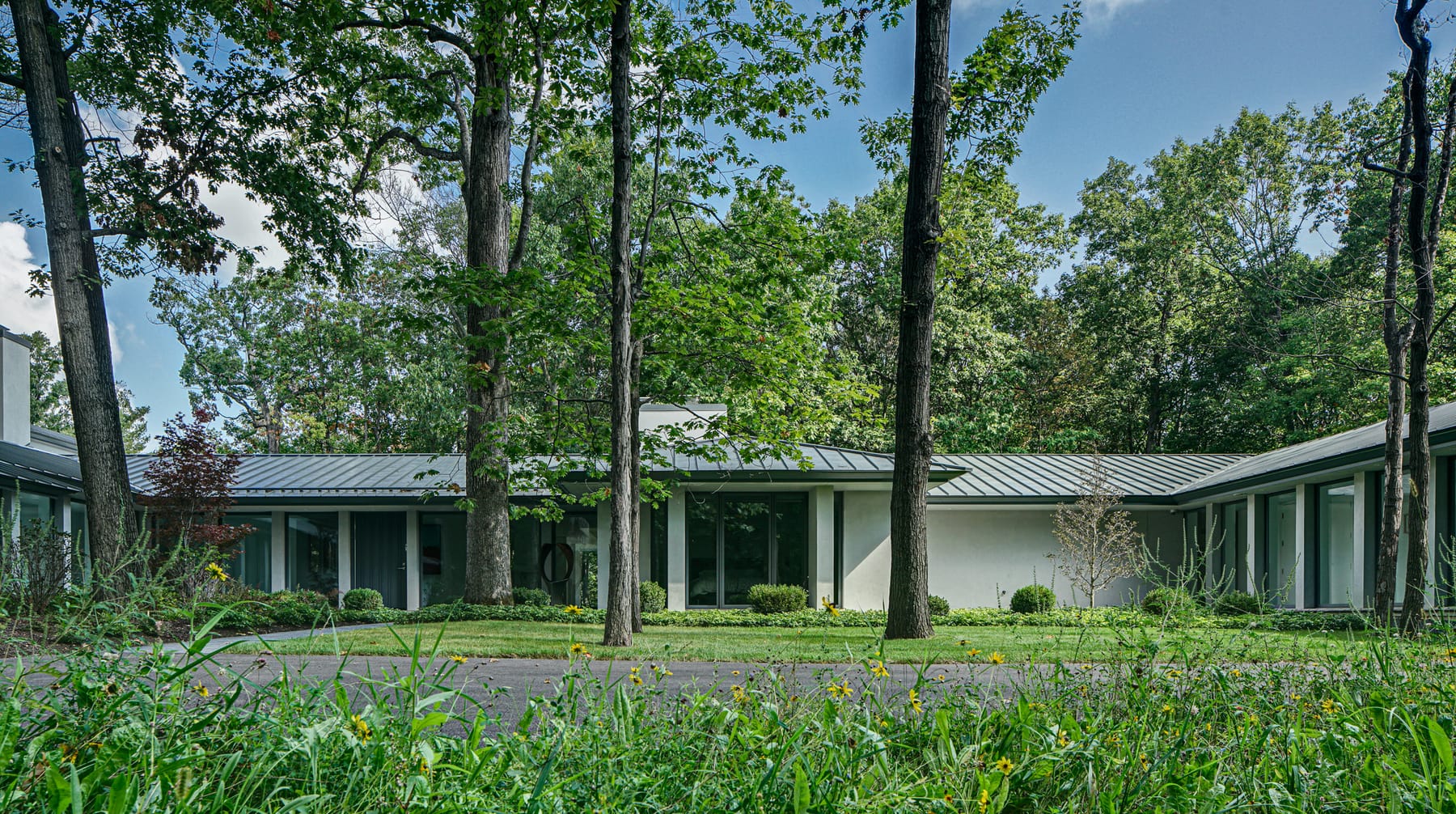 A House in the Woods