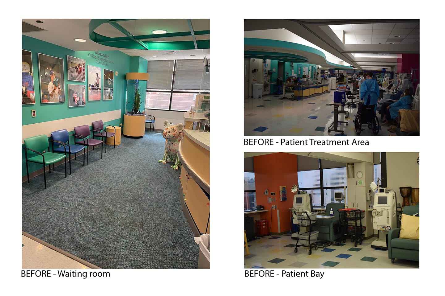 TCH - Inpatient and Outpatient Dialysis Renovation, image 10