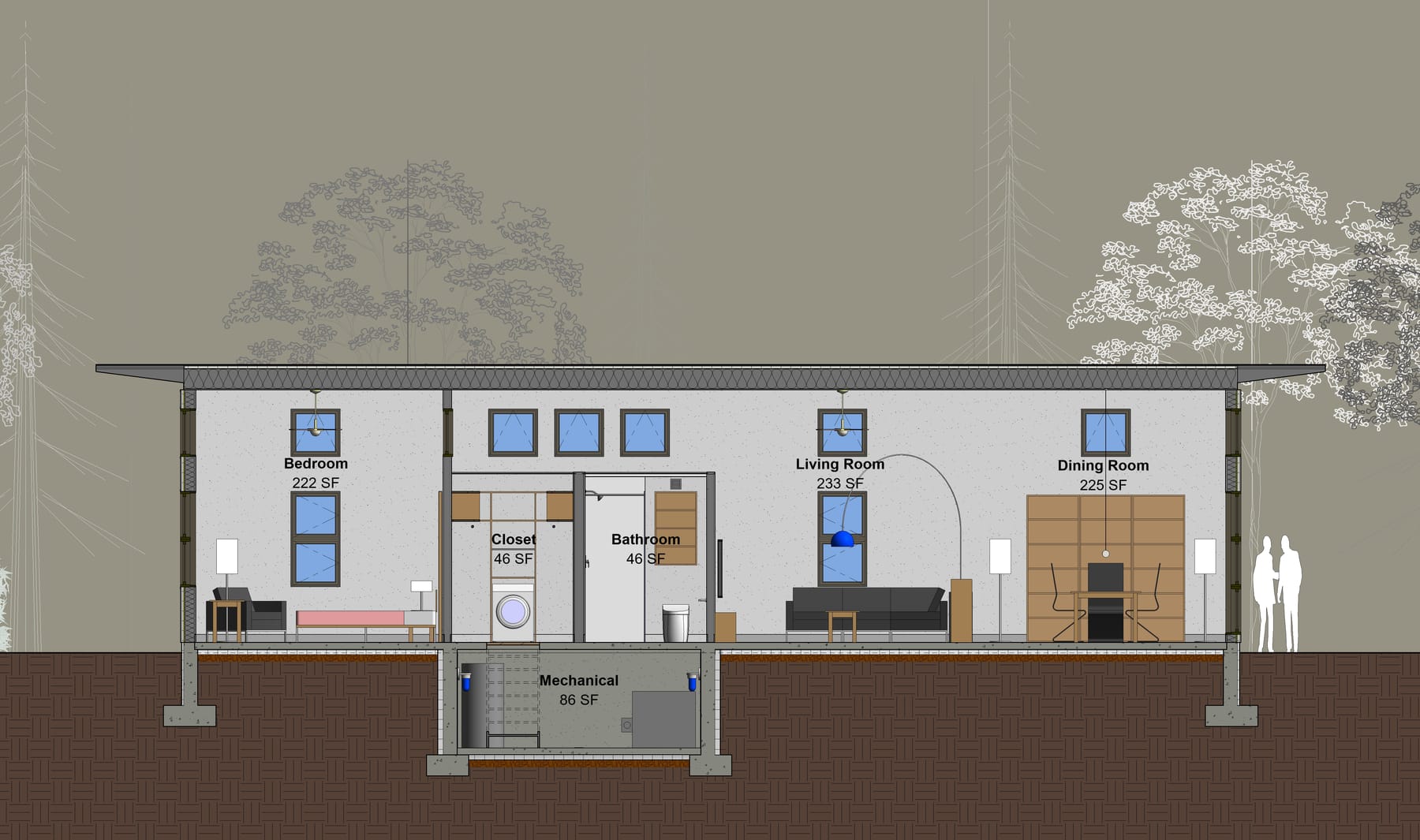 Large Tiny Home, image 4