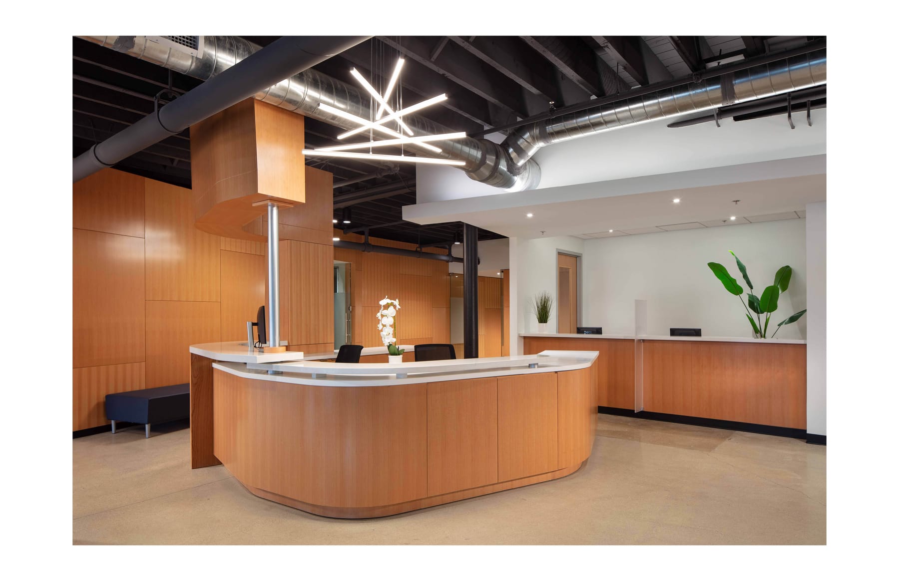 Healthcare Alternative Systems Behavioral Health and Counseling Center, image 4