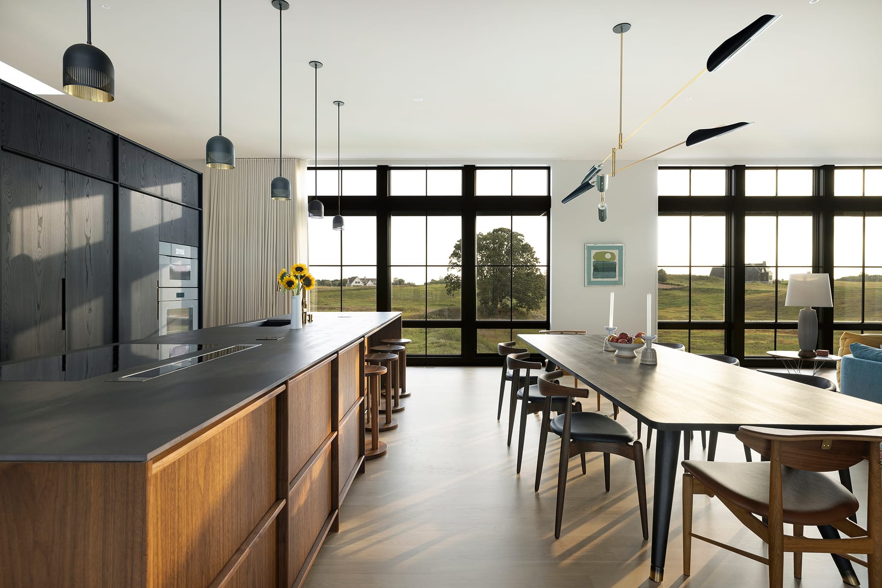 Sandhill Residence, image 5
