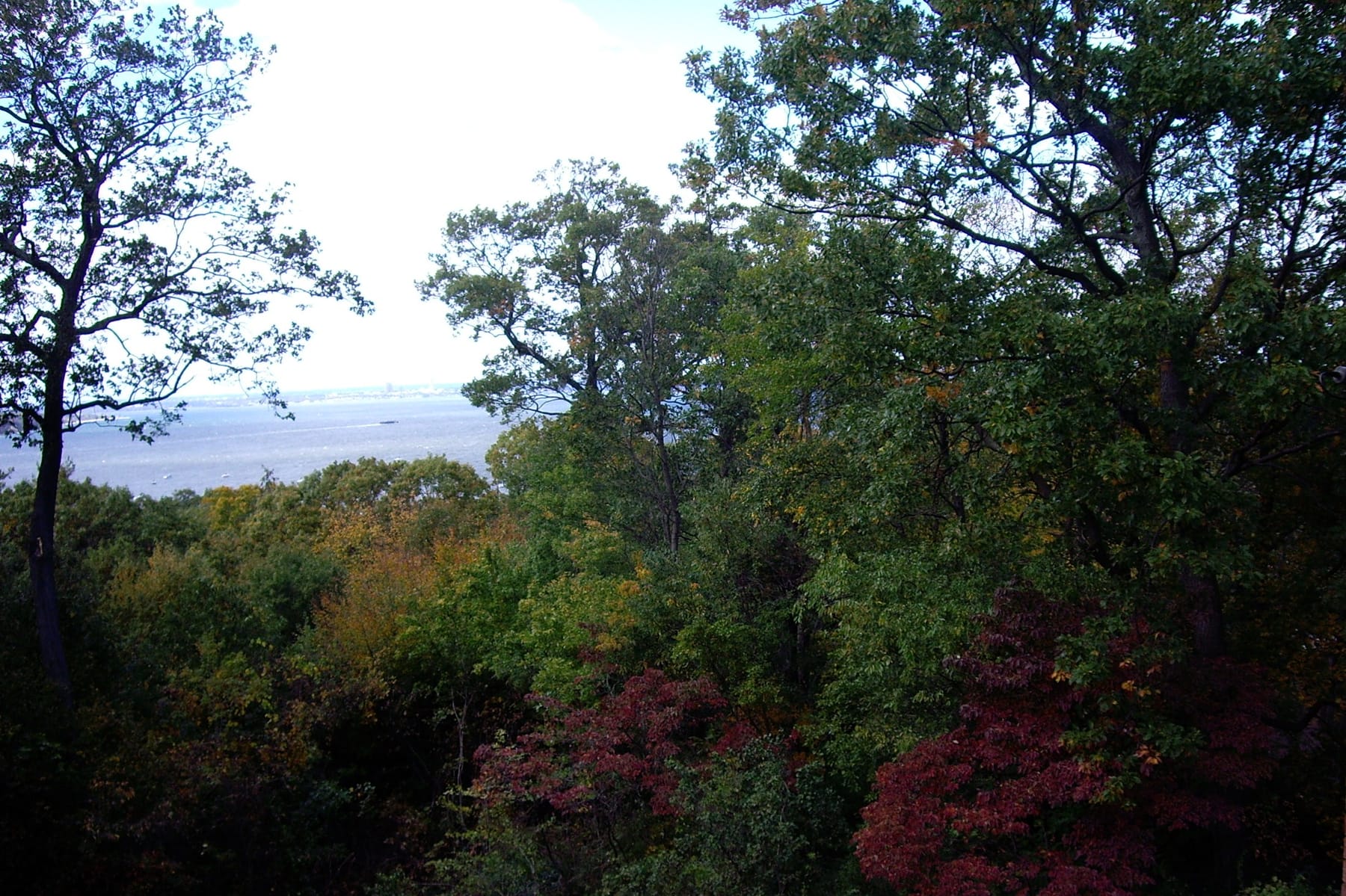 Sea Cliff Residence, image 8