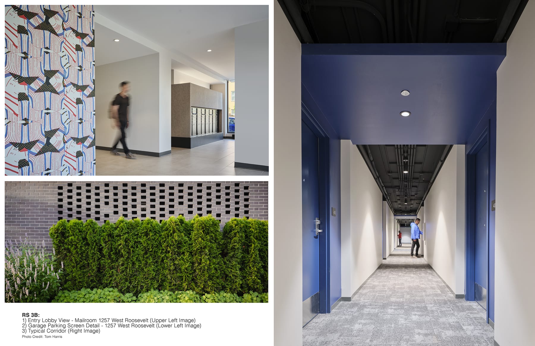 Roosevelt Square Phase 3B, image 10