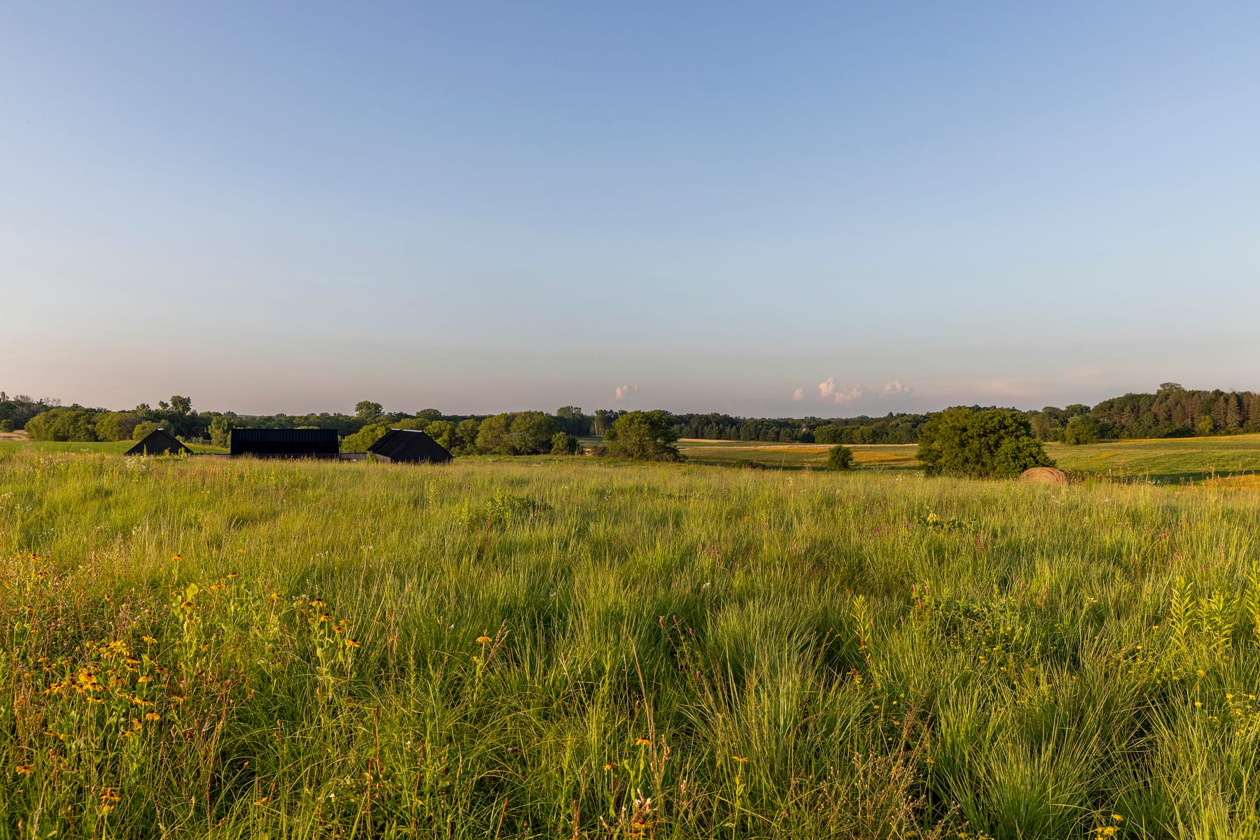 Prairie Hus, image 8